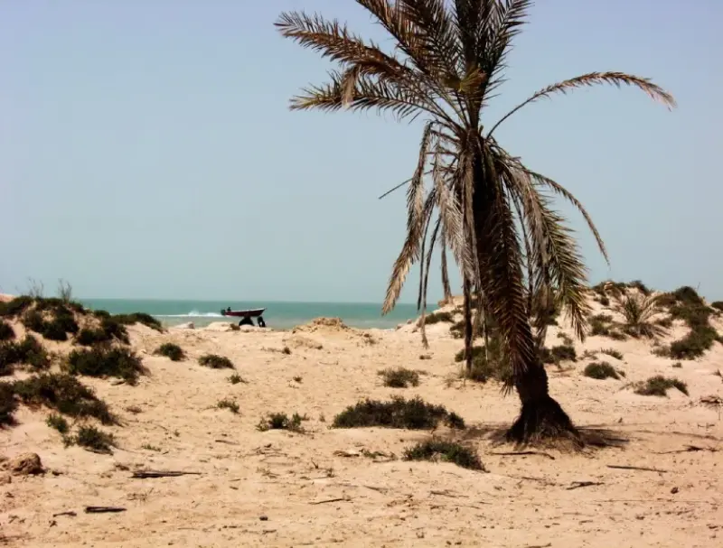 بندر ریگ - تصویر 4