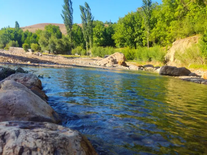 دره آل - تصویر 4