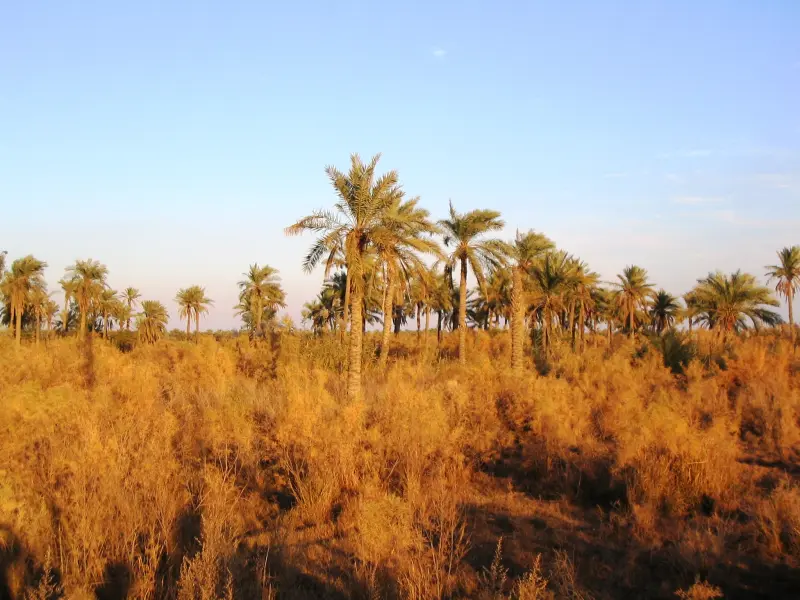 جزیره مینو - تصویر 2