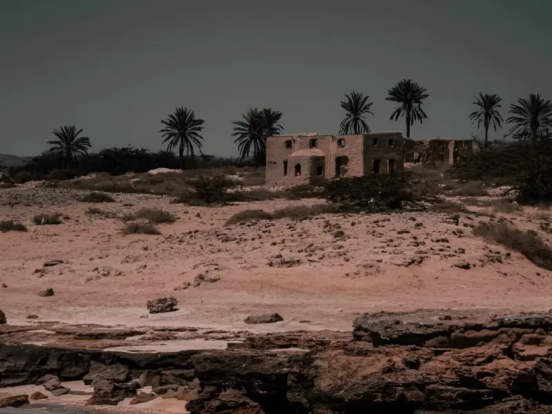 نخلستان قیل - تصویر 1