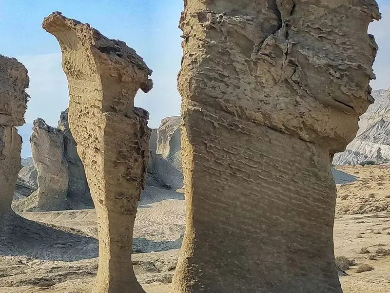 بیابان سایه خوش - تصویر 3