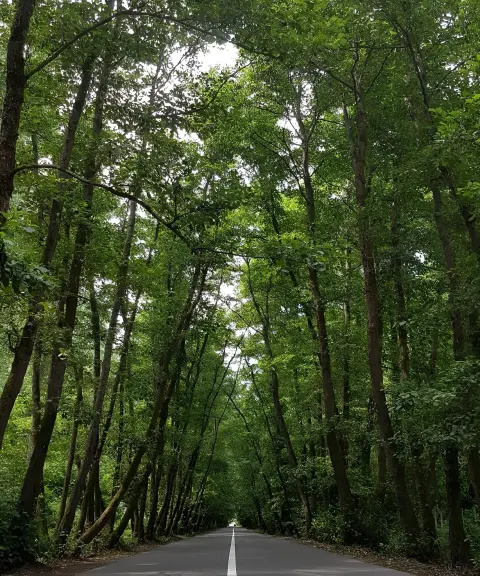 روستای صفرابسته، گیلان