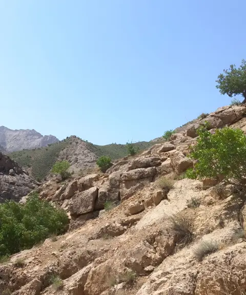 روستای ایله، خراسان رضوی