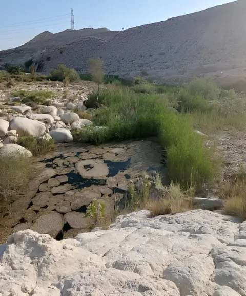 چشمه مطریه، بوشهر