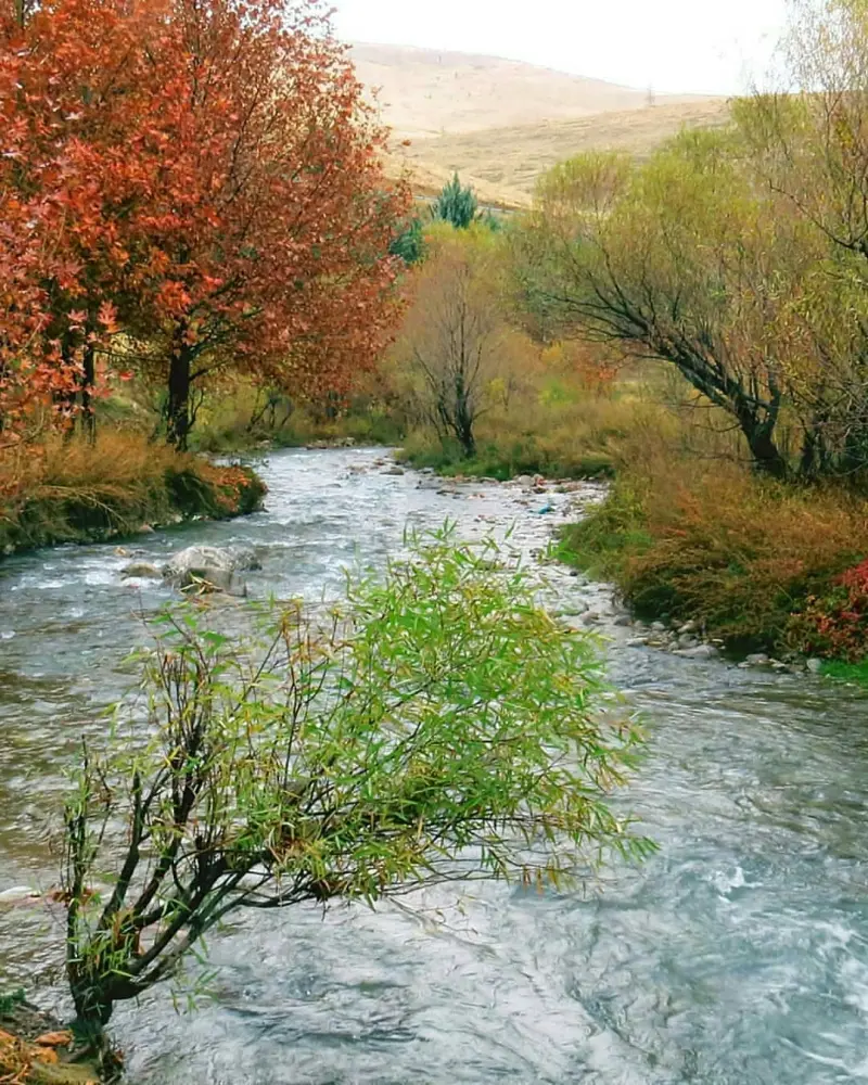 سراب گاماسیاب - تصویر 9