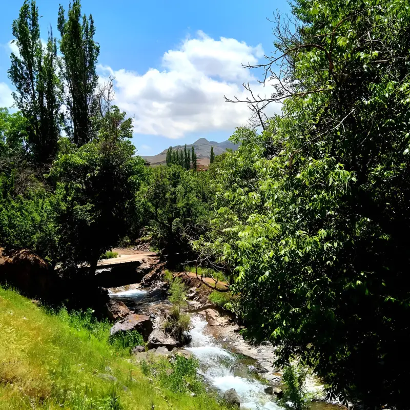 روستای وشنوه - تصویر 1