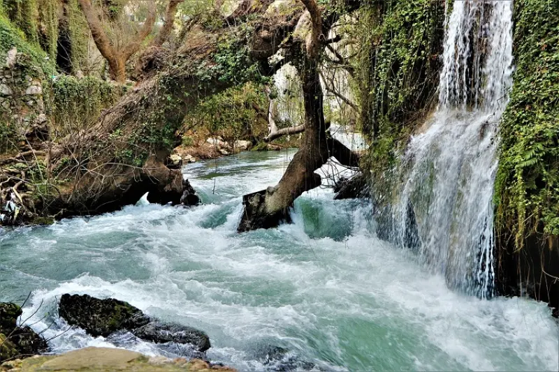 تنگ بستانک - تصویر 13