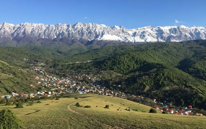 جنگل راش - تصویر 3