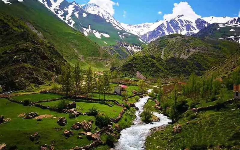 روستای دلیر - تصویر 4