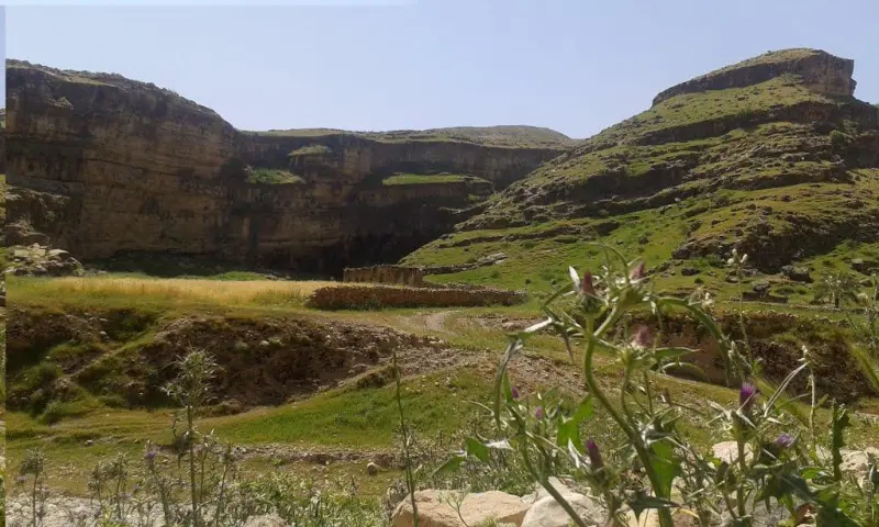 تنگ زرانگوش - تصویر 2