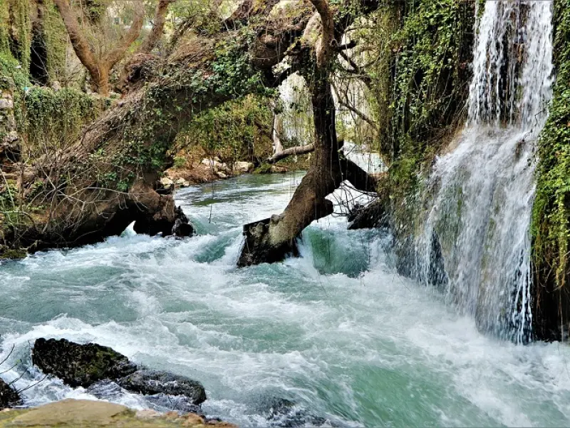 تنگ بستانک - تصویر 13