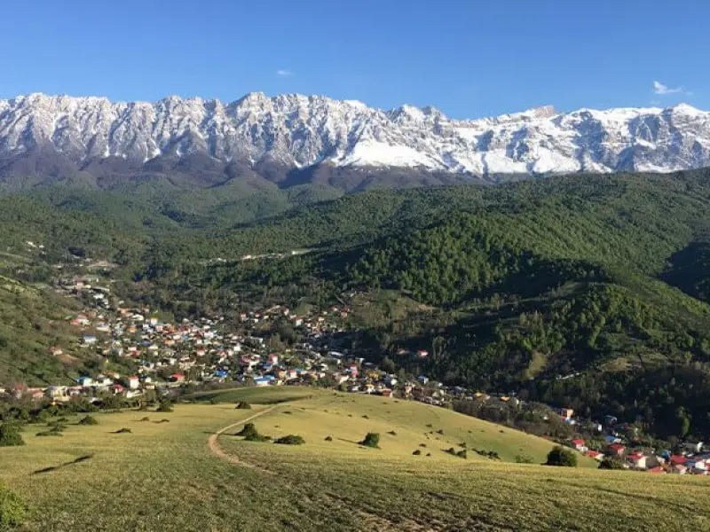 جنگل راش - تصویر 3