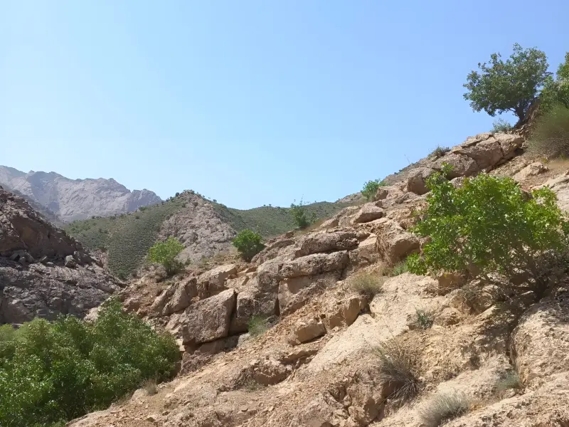 روستای ایله