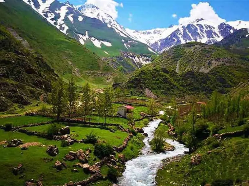 روستای دلیر - تصویر 4