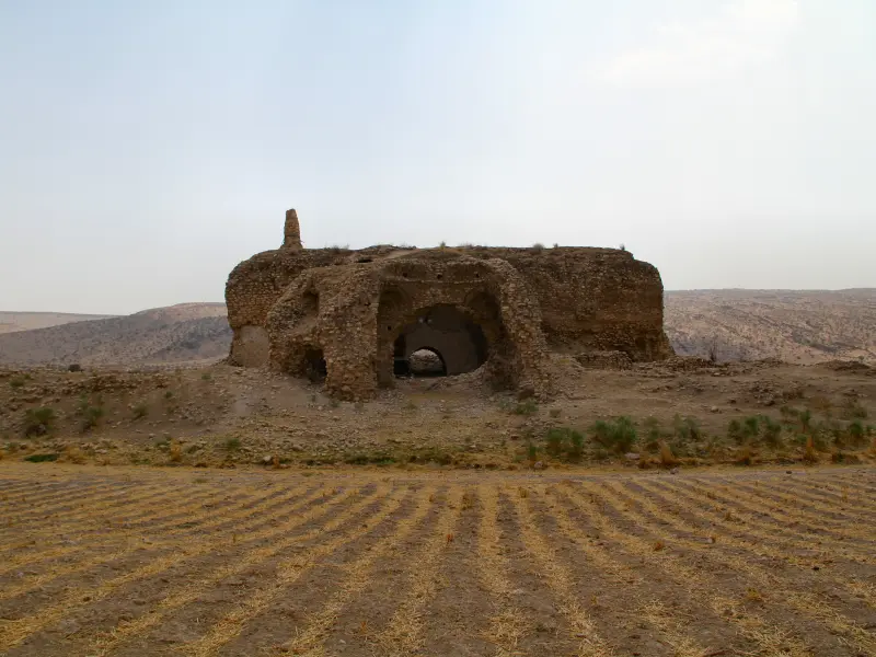 کوشک اردشیر - تصویر 1