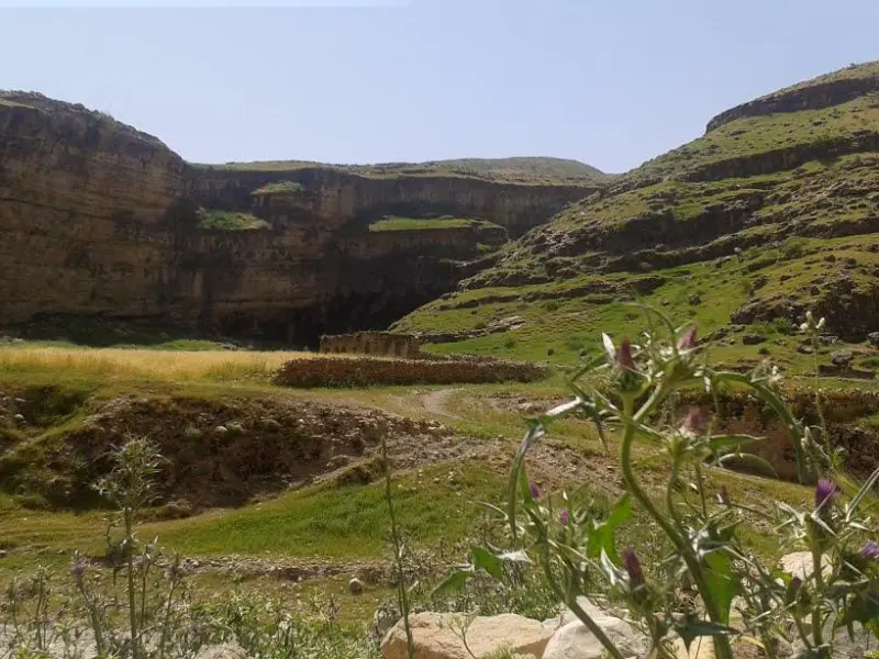 تنگ زرانگوش - تصویر 2