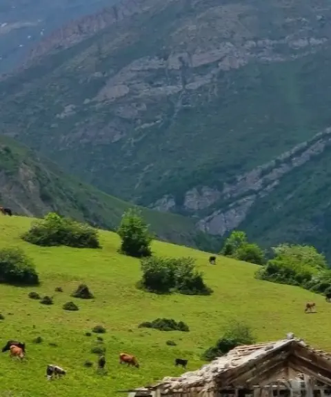 منطقه حفاظت‌شده بلس کوه، مازندران
