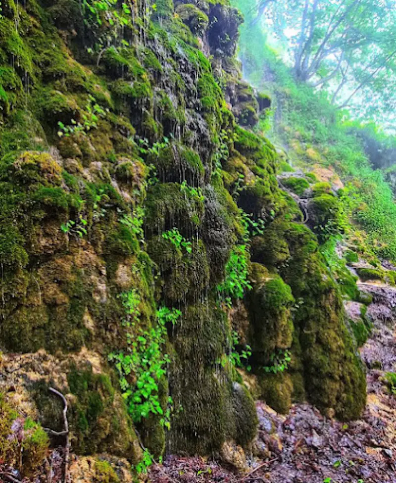 آبشار سیاسرت - تصویر 3