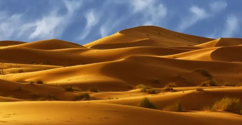 کویر یونسی - تصویر 2