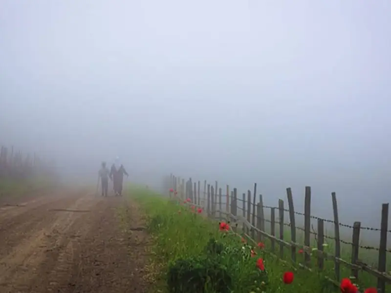 شکردشت - تصویر 6