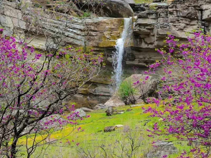 آبشار دال آو - تصویر 1