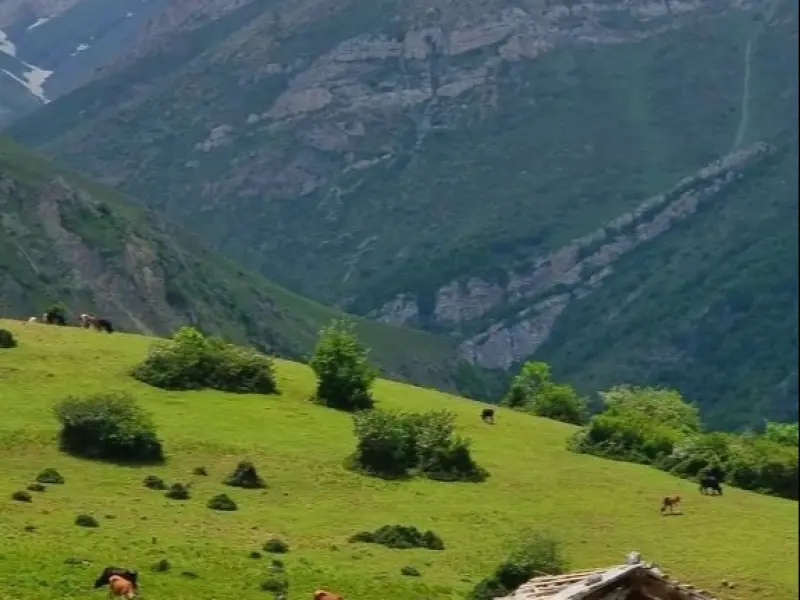 منطقه حفاظت‌شده بلس کوه