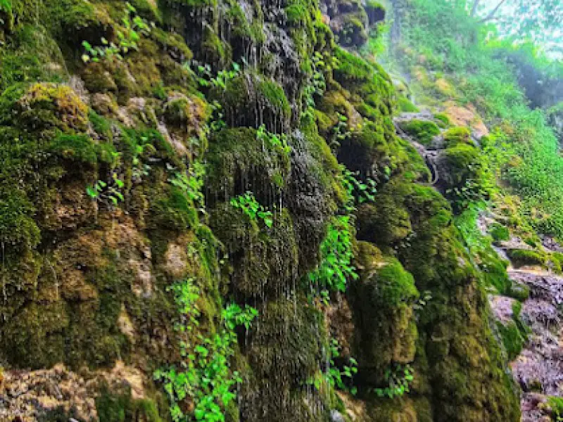 آبشار سیاسرت - تصویر 3