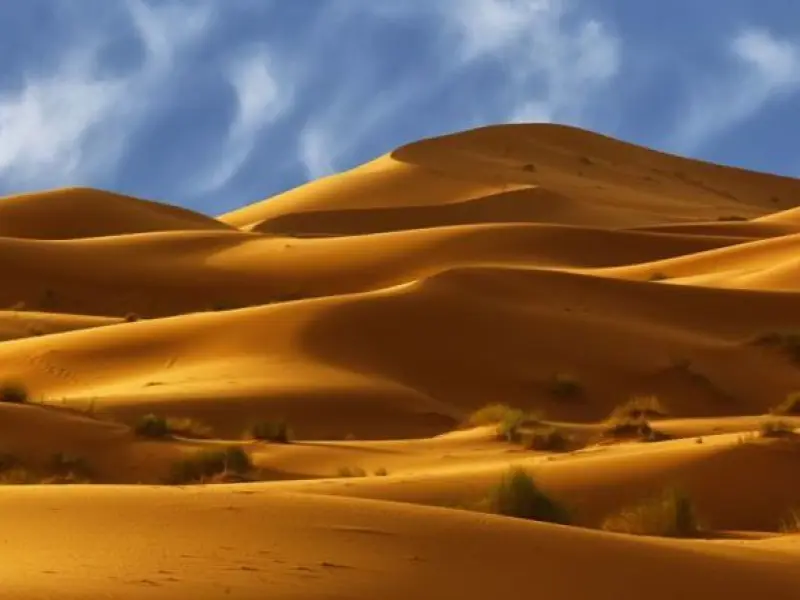 کویر یونسی - تصویر 2
