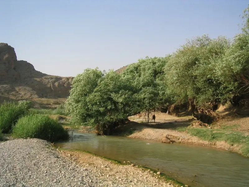 تنگه بلاغی - تصویر 2
