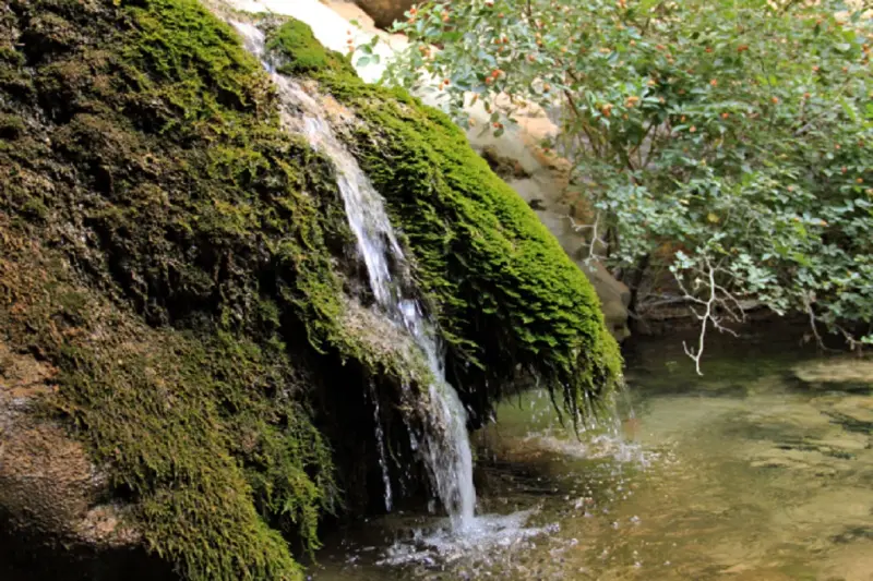 تنگ بغدیون - تصویر 2