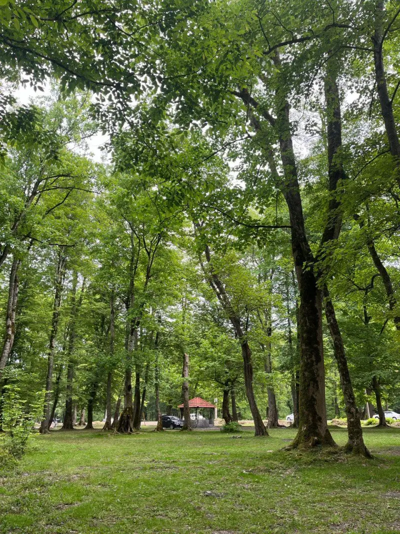 پارک جنگلی نور - تصویر 12