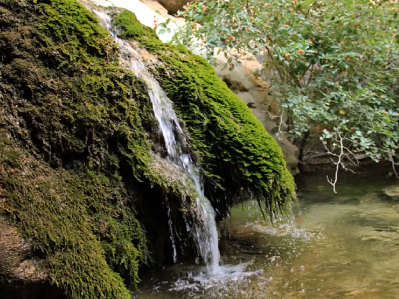 تنگ بغدیون - تصویر 2
