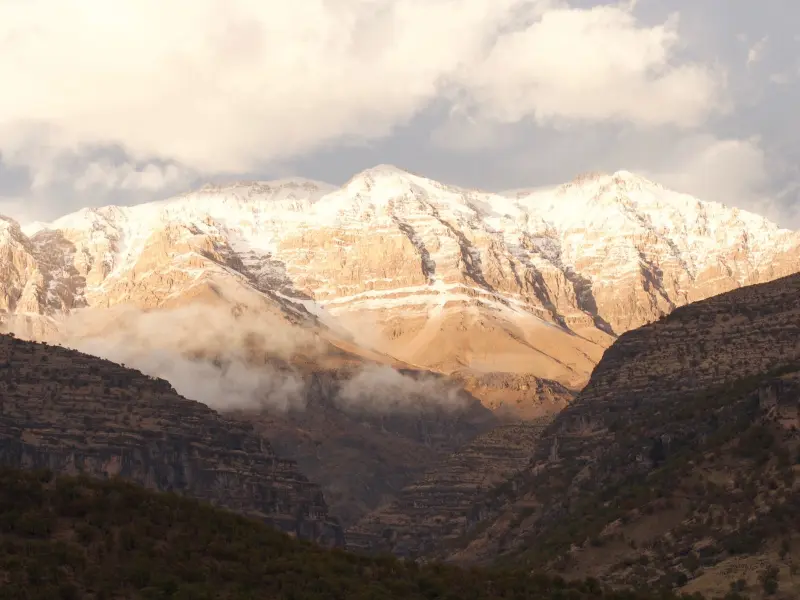 کوه زردکوه