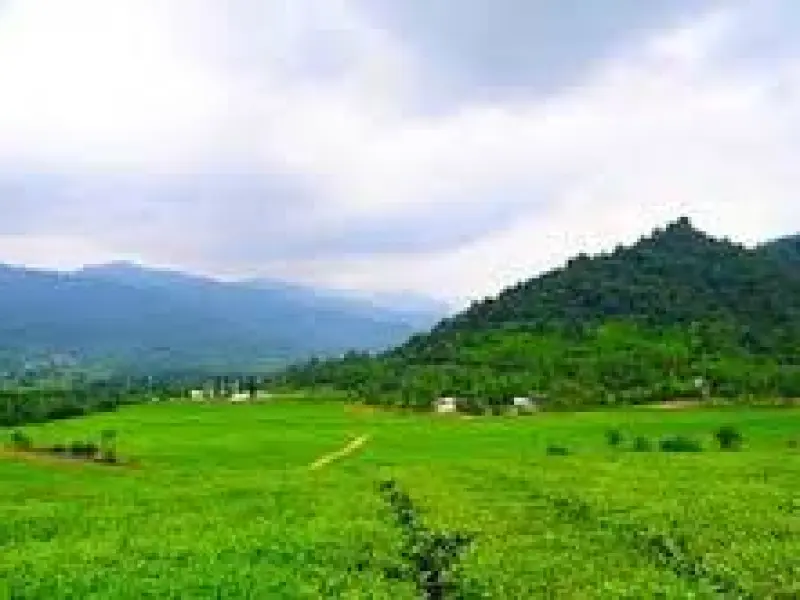 تالاب تنیان - تصویر 4