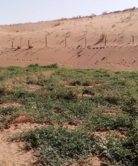 کویر چاله سنبک، اصفهان