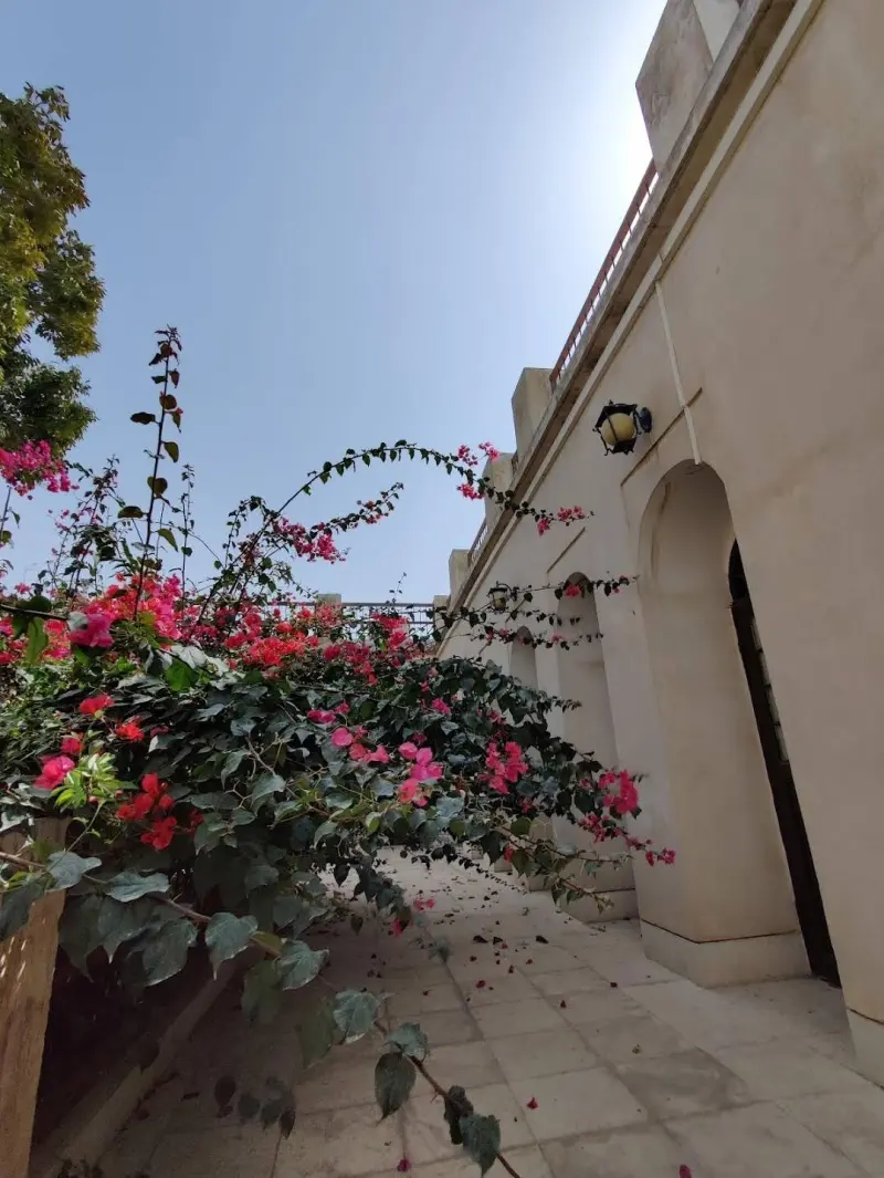 عمارت طبیب - تصویر 4