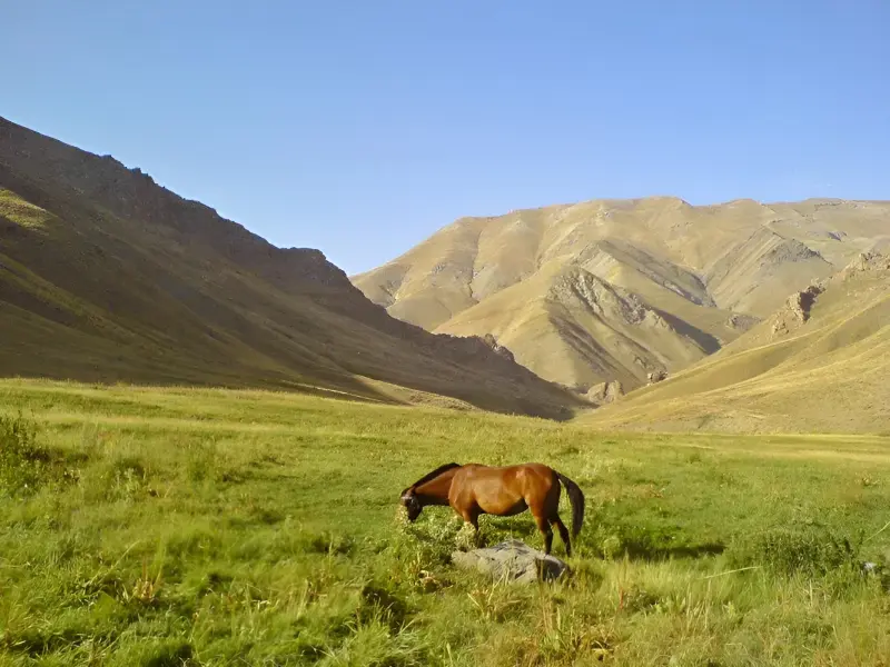 کوه چهل چشمه - تصویر 1