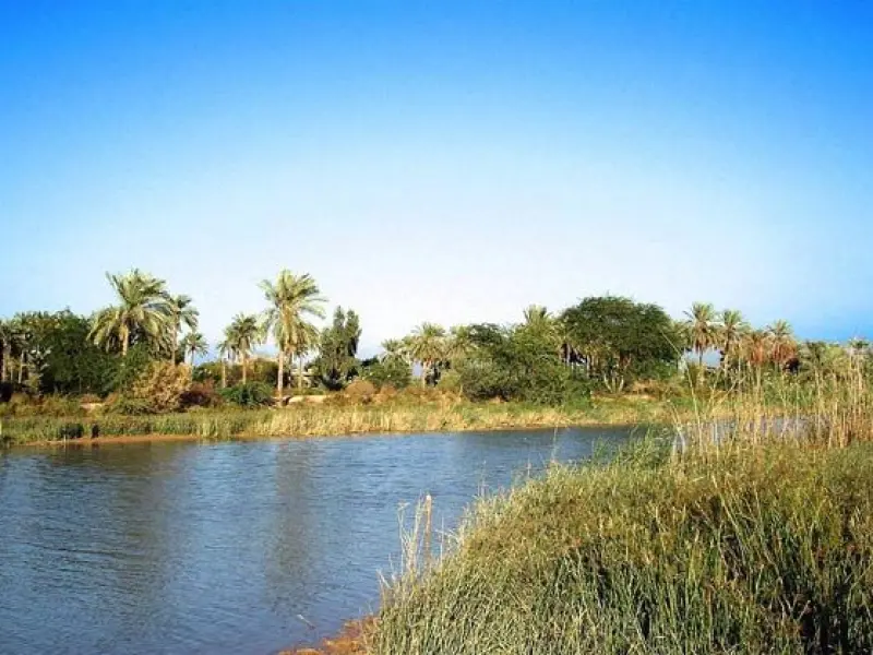 جزیره مینو - تصویر 1