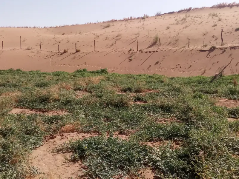 کویر چاله سنبک