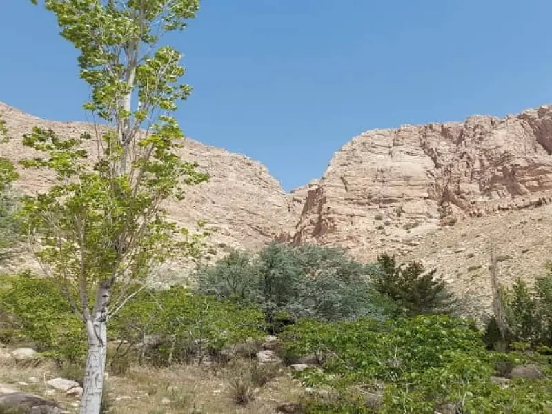 تنگه سیمک - تصویر 4