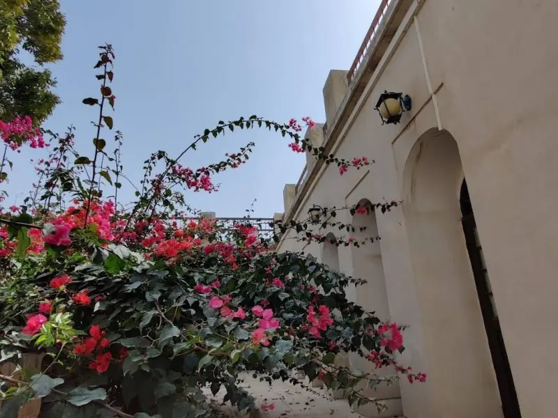 عمارت طبیب - تصویر 4