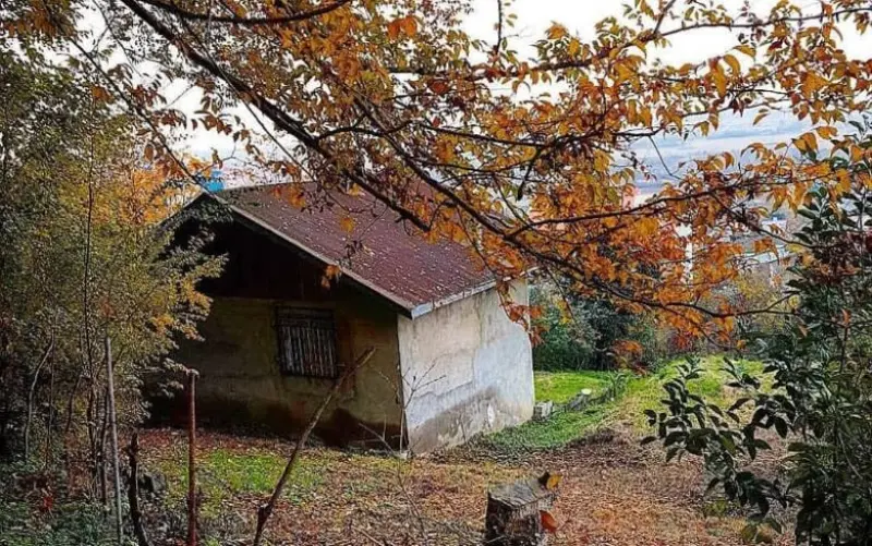 روستای شیخانبر - تصویر 3