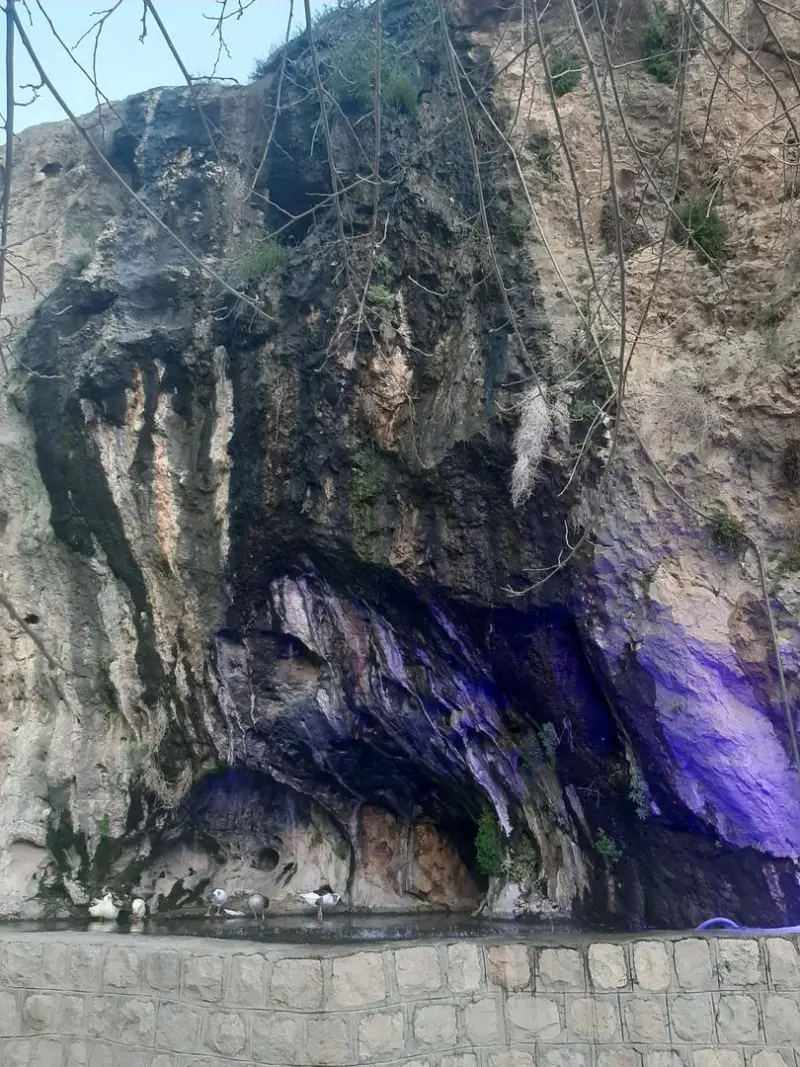 تنگ تیکاب - تصویر 11