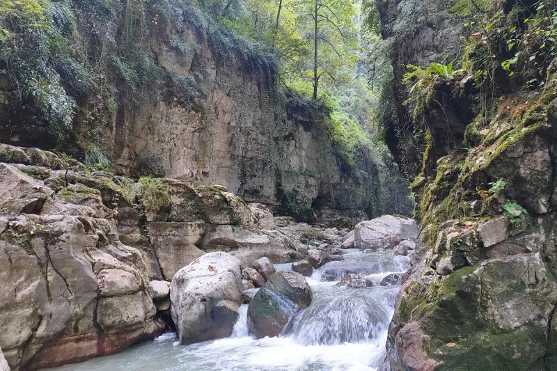 پارک جنگلی خانیکان - تصویر 1