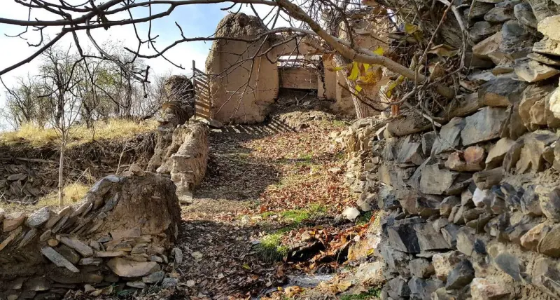 روستای طایمه - تصویر 1