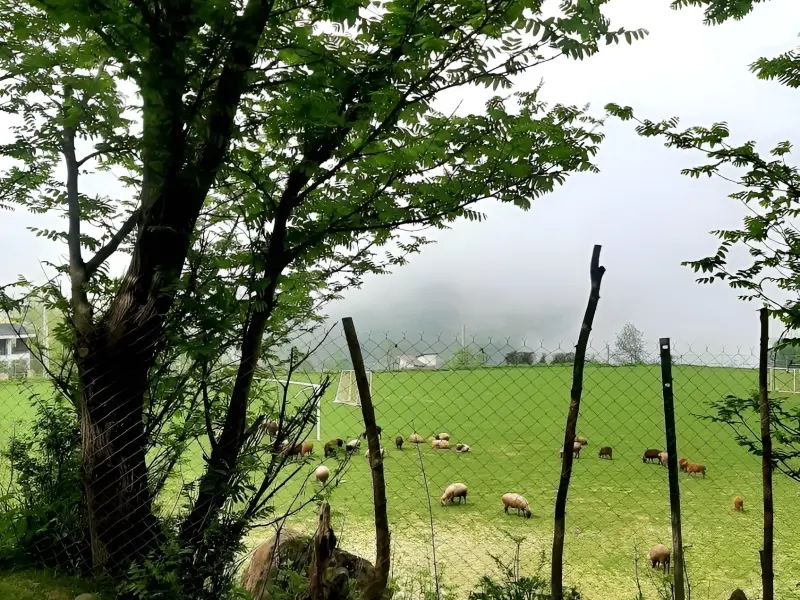 روستای لاویج - تصویر 5