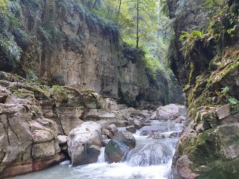 پارک جنگلی خانیکان - تصویر 1