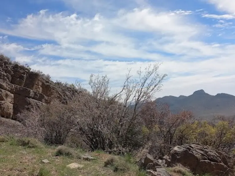 تنگ جزین