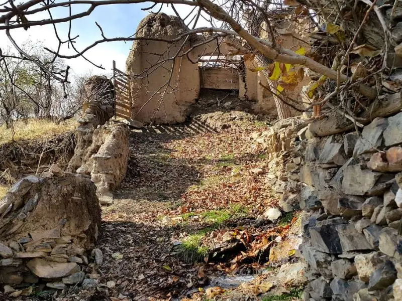 روستای طایمه - تصویر 1