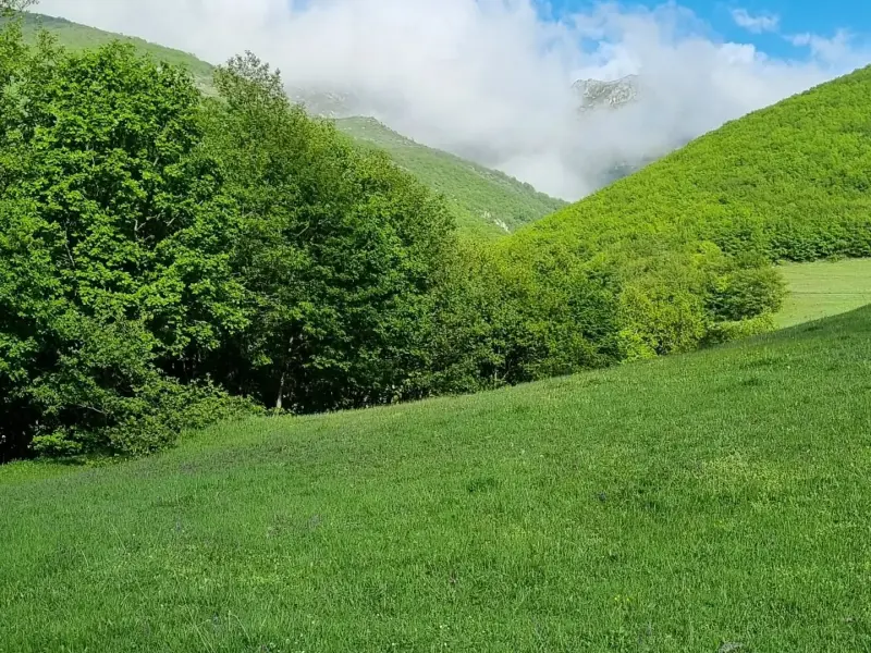دره مکیدی - تصویر 10
